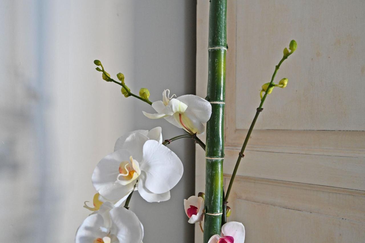 Au Coeur Des Papes, Dans Batisse De Charme Studios & Appartements En Coeur De Ville Avignon Buitenkant foto